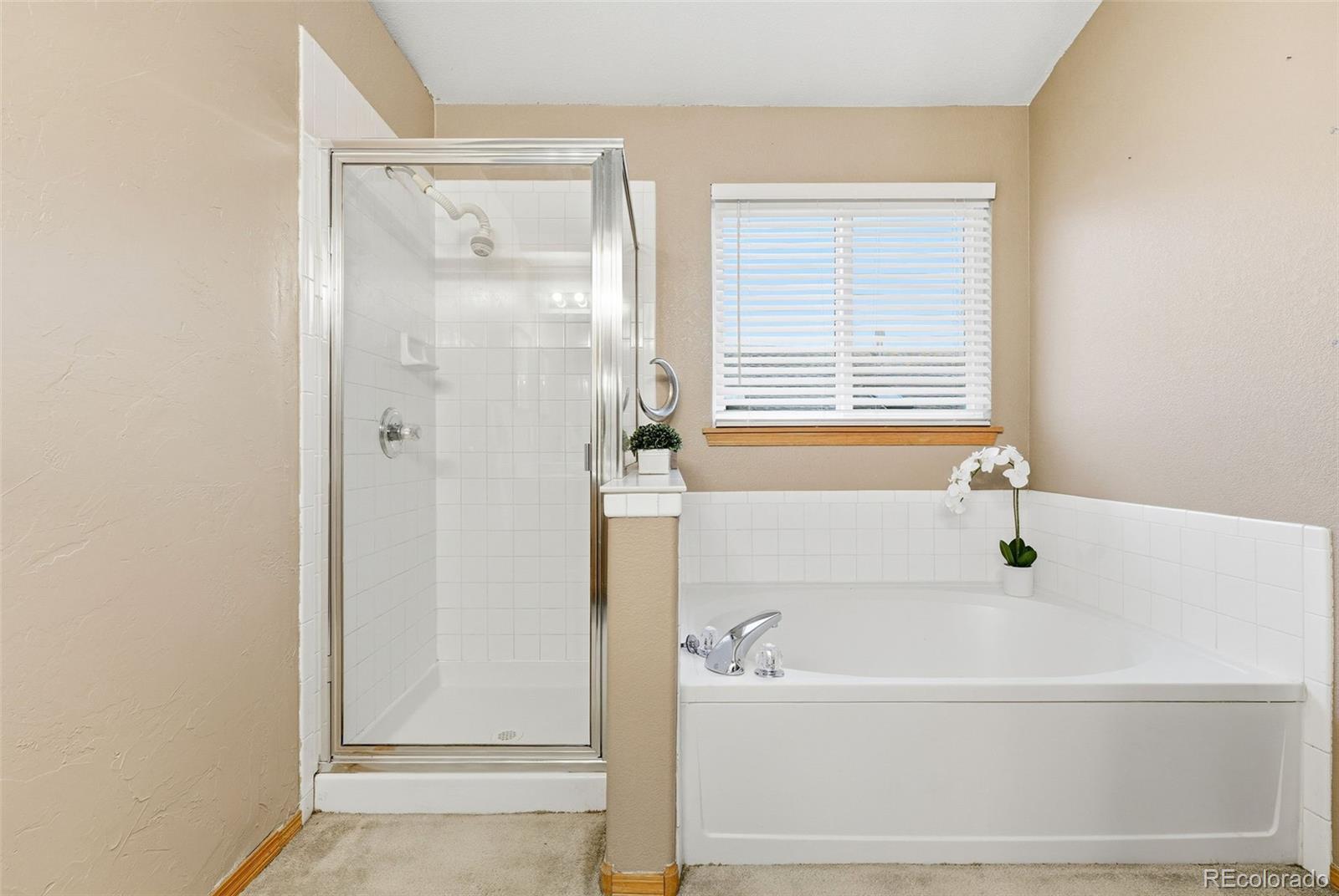 MLS Image #29 for 10378  falcon court,firestone, Colorado