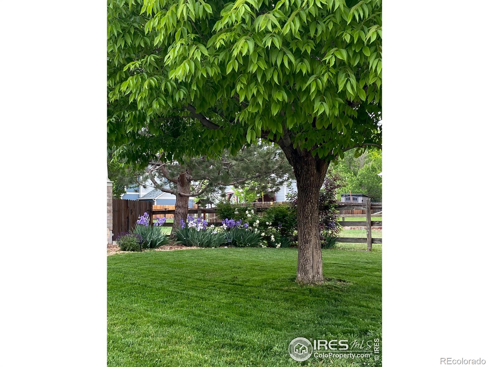 MLS Image #27 for 7966  liley court,frederick, Colorado