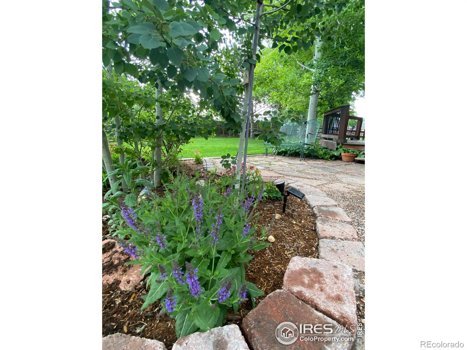 MLS Image #29 for 7966  liley court,frederick, Colorado