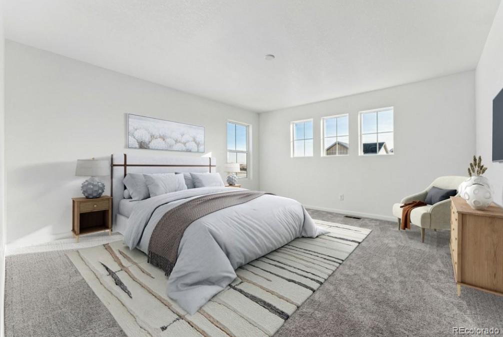 MLS Image #29 for 1185  prospect aly ,brighton, Colorado