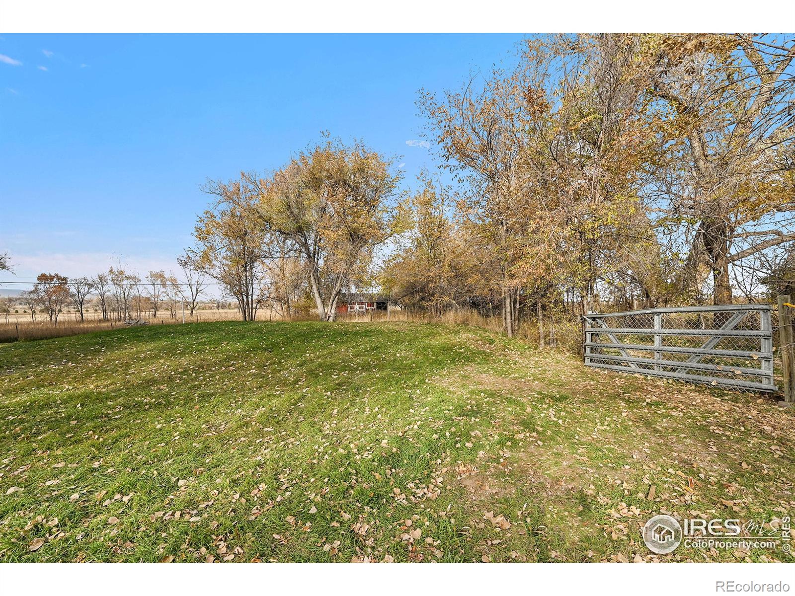 MLS Image #24 for 11495  billings avenue,lafayette, Colorado