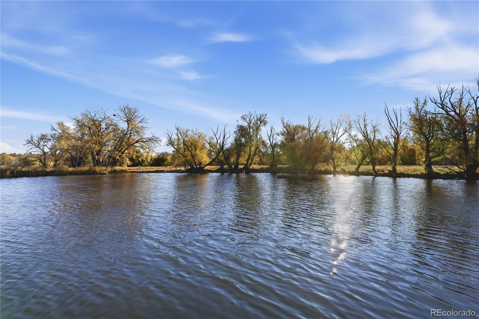 MLS Image #13 for 3225 s garrison street,lakewood, Colorado