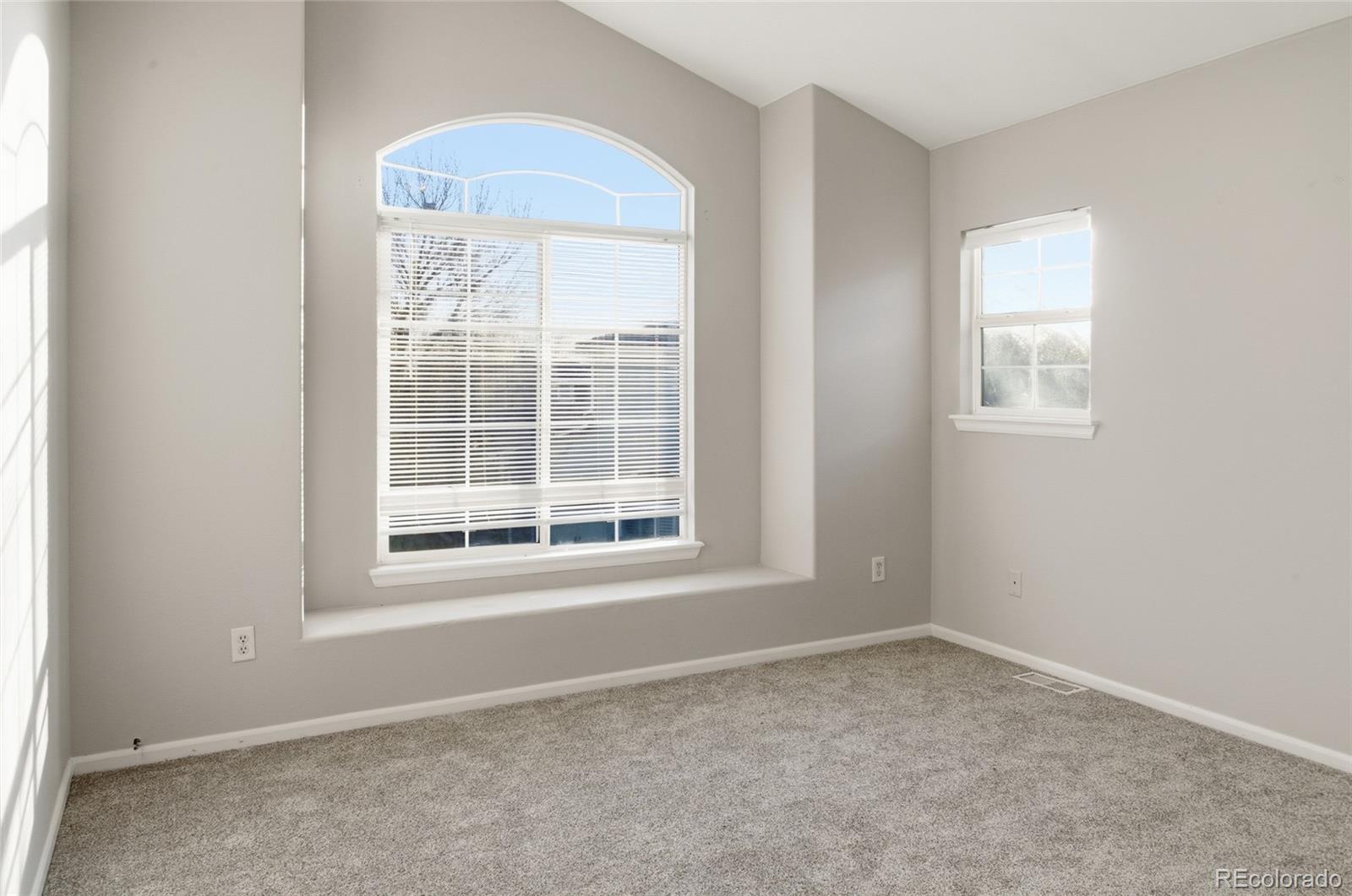 MLS Image #20 for 1325  carlyle park circle,highlands ranch, Colorado