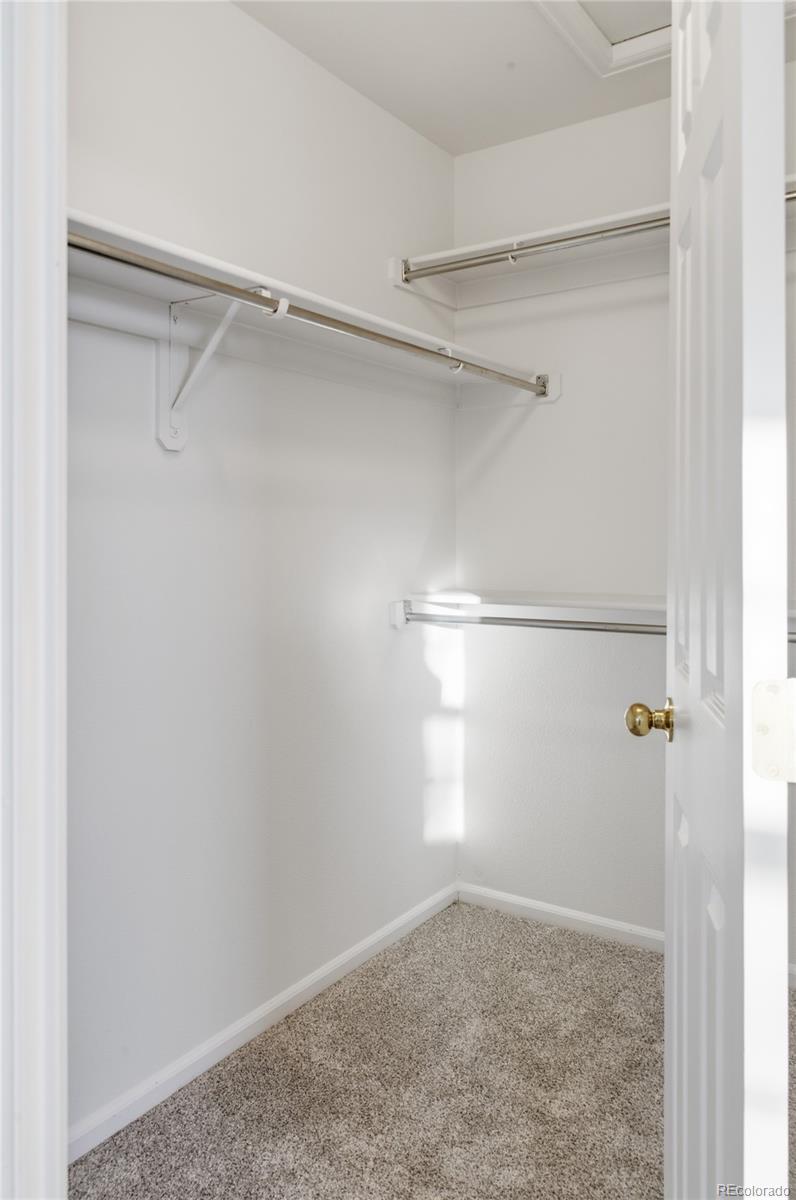 MLS Image #21 for 1325  carlyle park circle,highlands ranch, Colorado