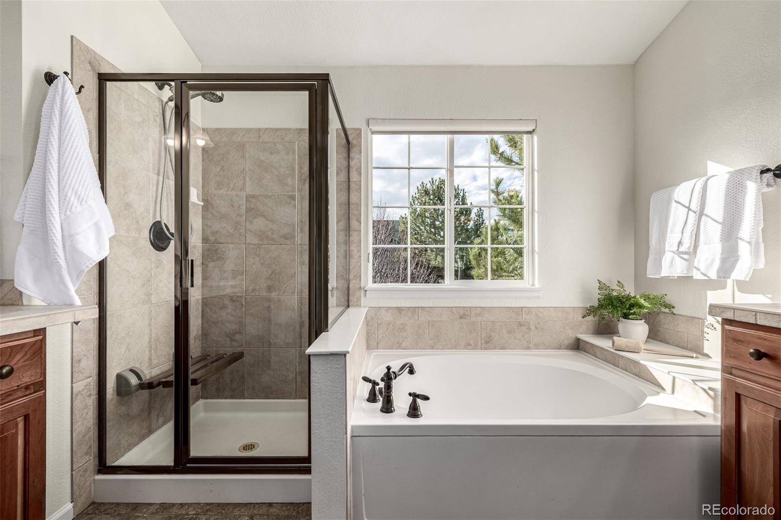 MLS Image #17 for 12436  julian court,broomfield, Colorado