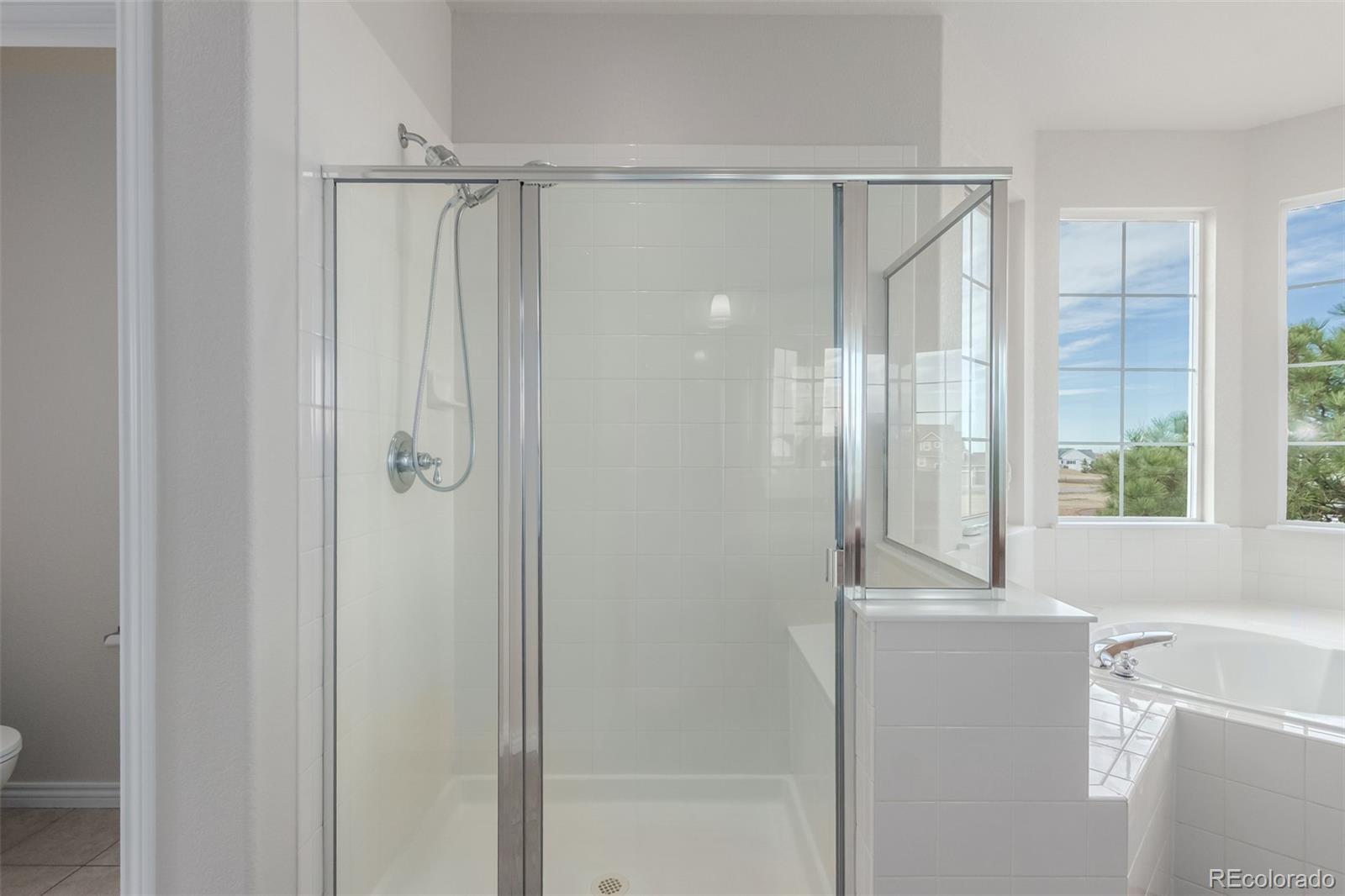 MLS Image #17 for 831  kirby court,watkins, Colorado