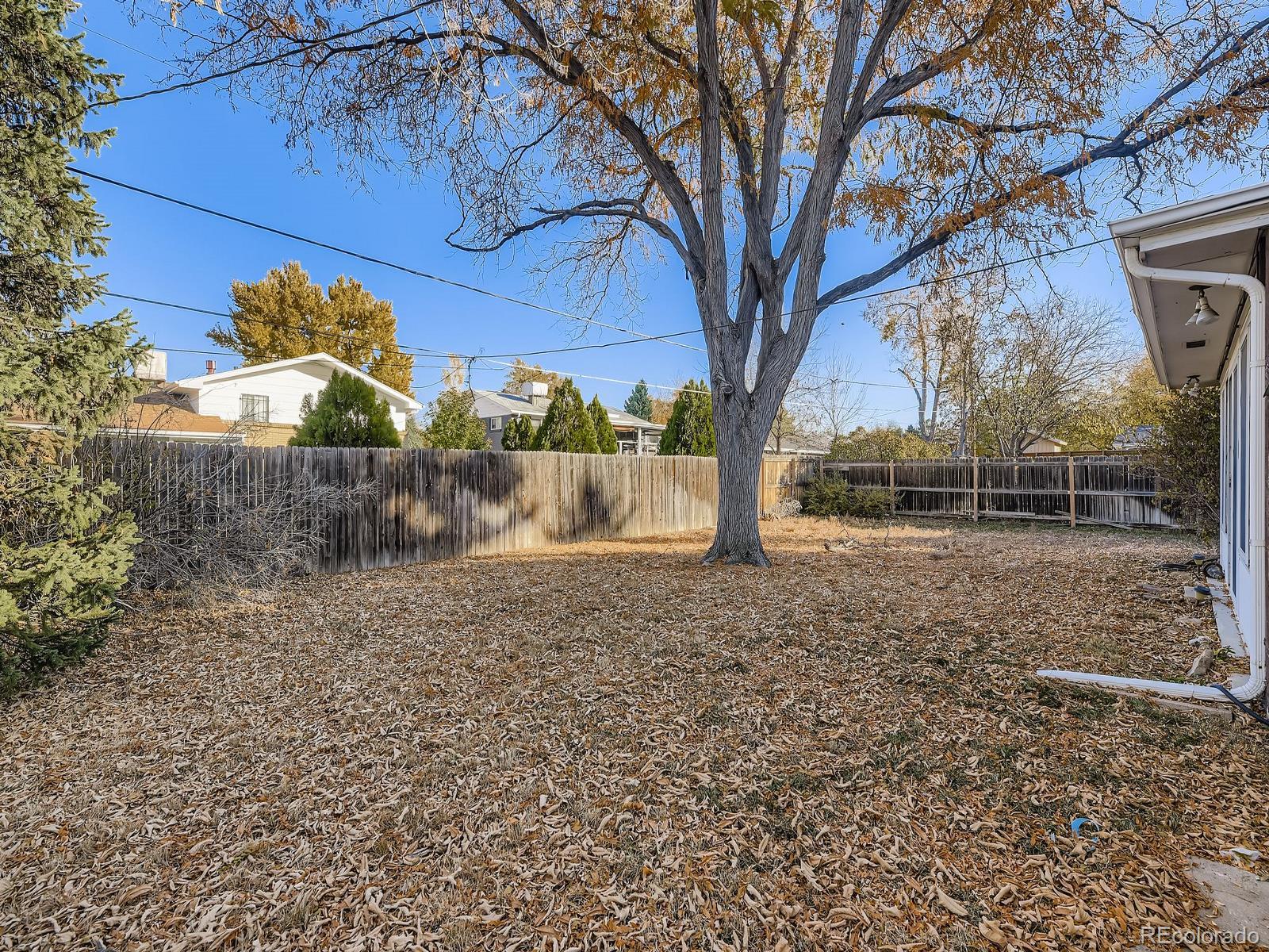 MLS Image #4 for 2142 s harlan street,denver, Colorado