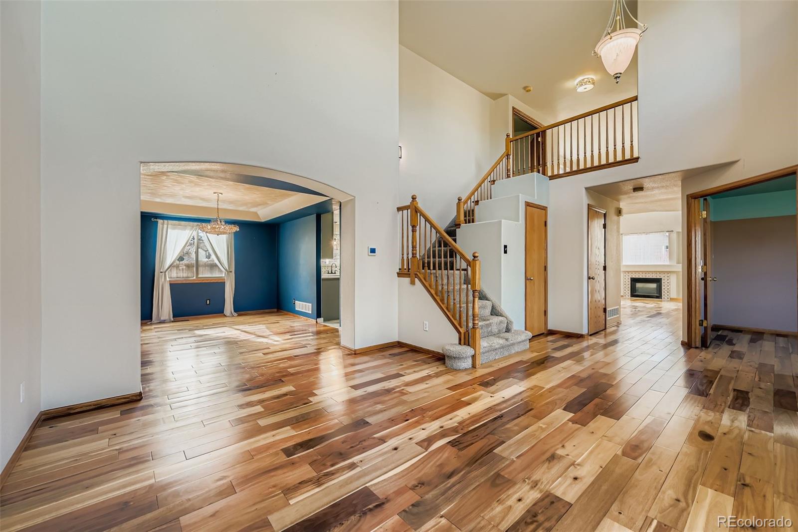 MLS Image #4 for 1354  terrace drive,longmont, Colorado