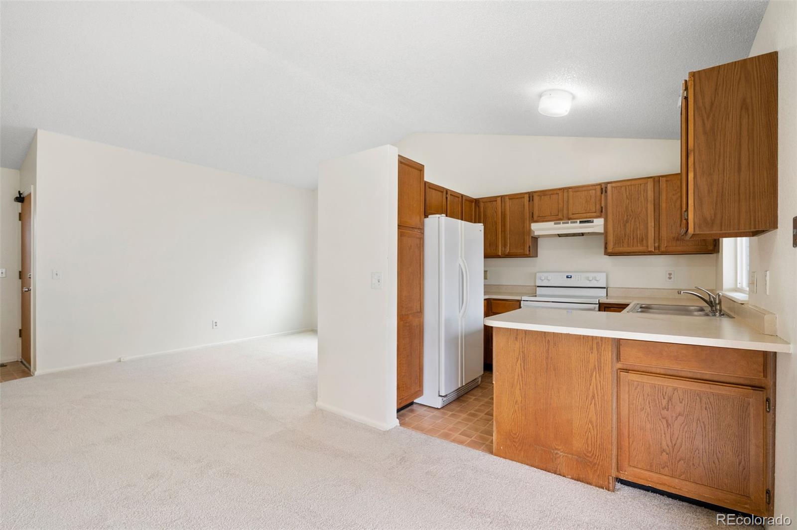 MLS Image #9 for 18944 e carmel drive,aurora, Colorado