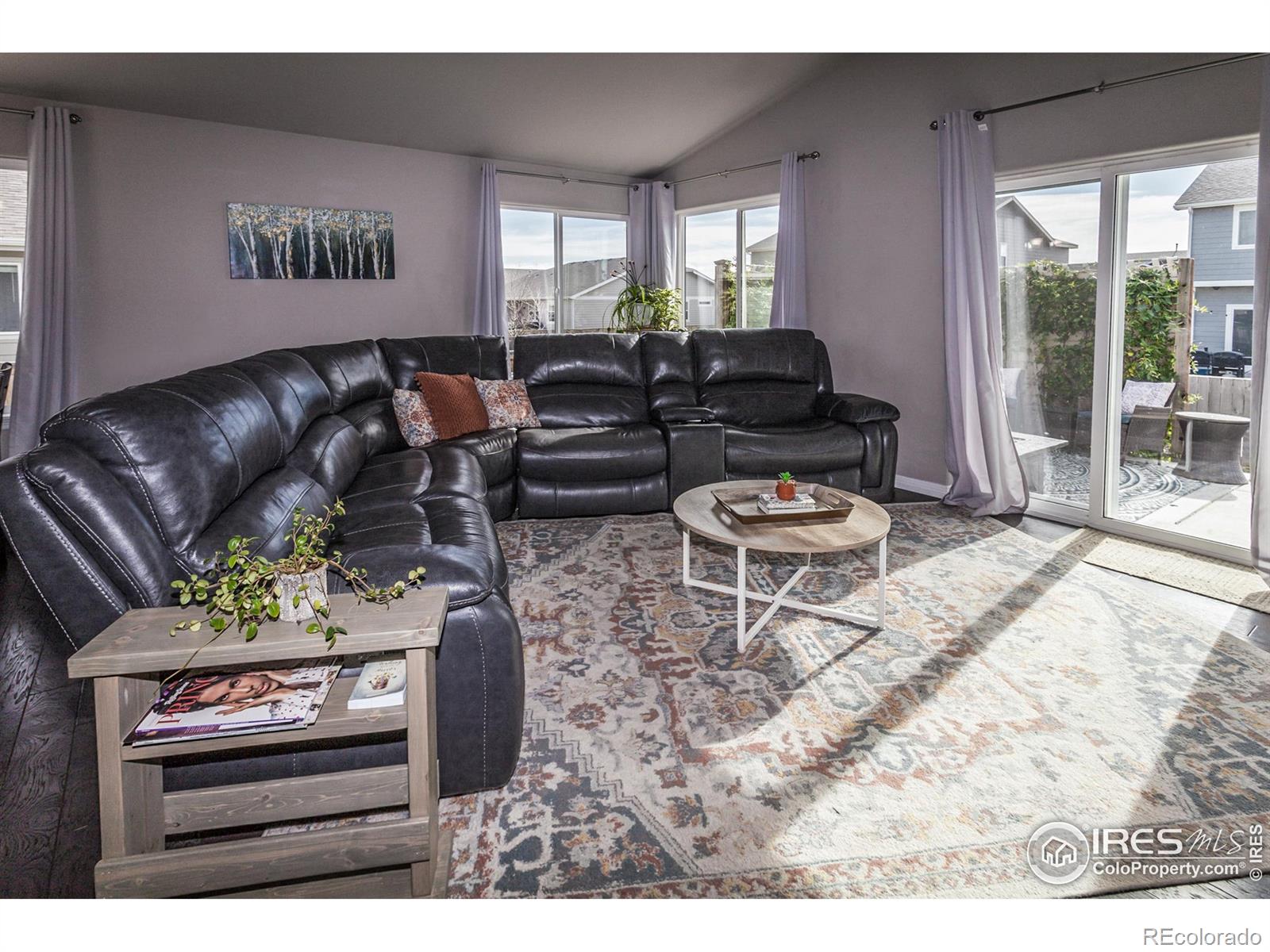 MLS Image #11 for 1297  wild basin road,severance, Colorado