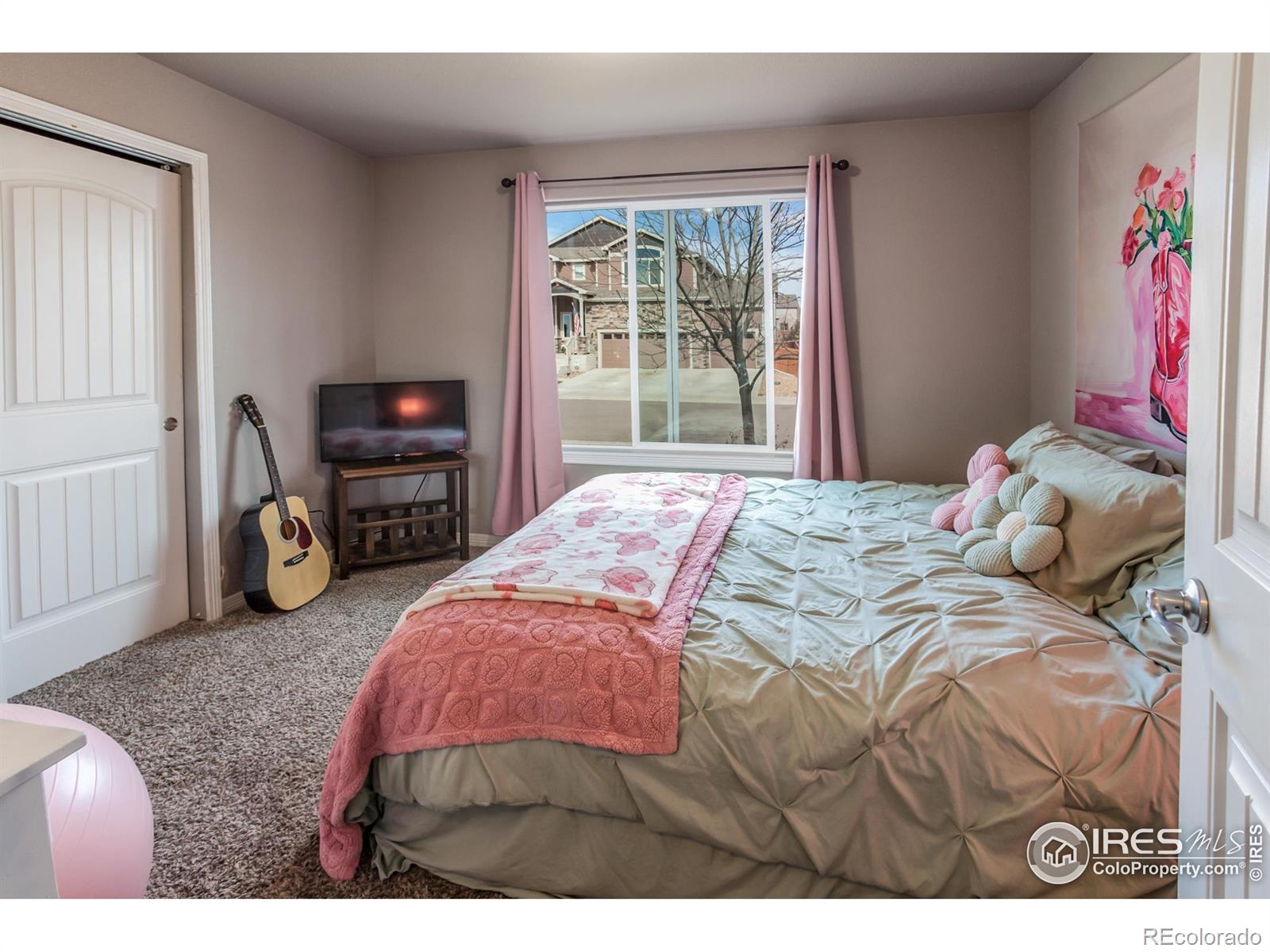 MLS Image #13 for 1297  wild basin road,severance, Colorado