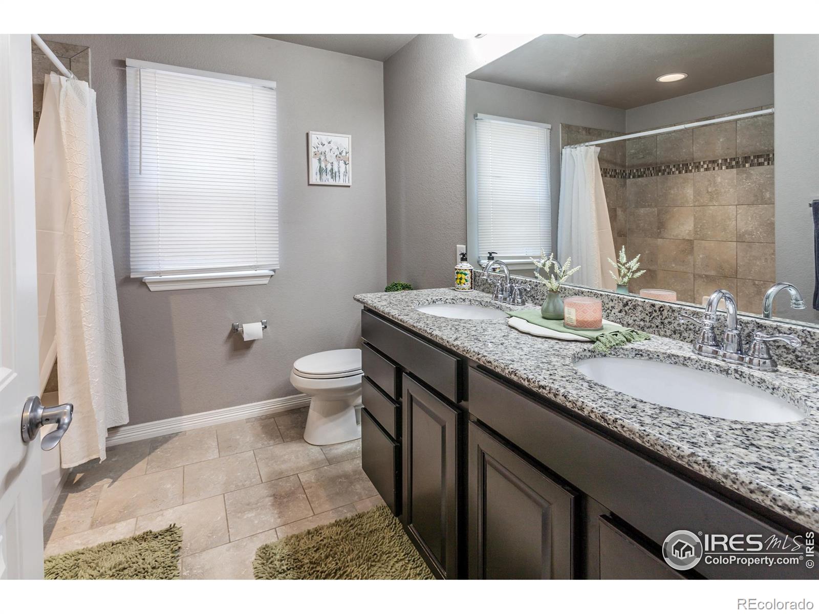 MLS Image #14 for 1297  wild basin road,severance, Colorado
