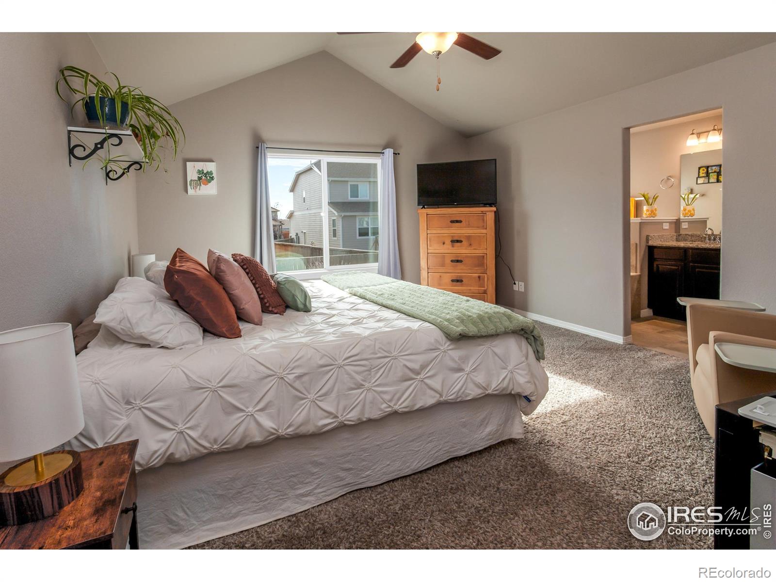 MLS Image #18 for 1297  wild basin road,severance, Colorado