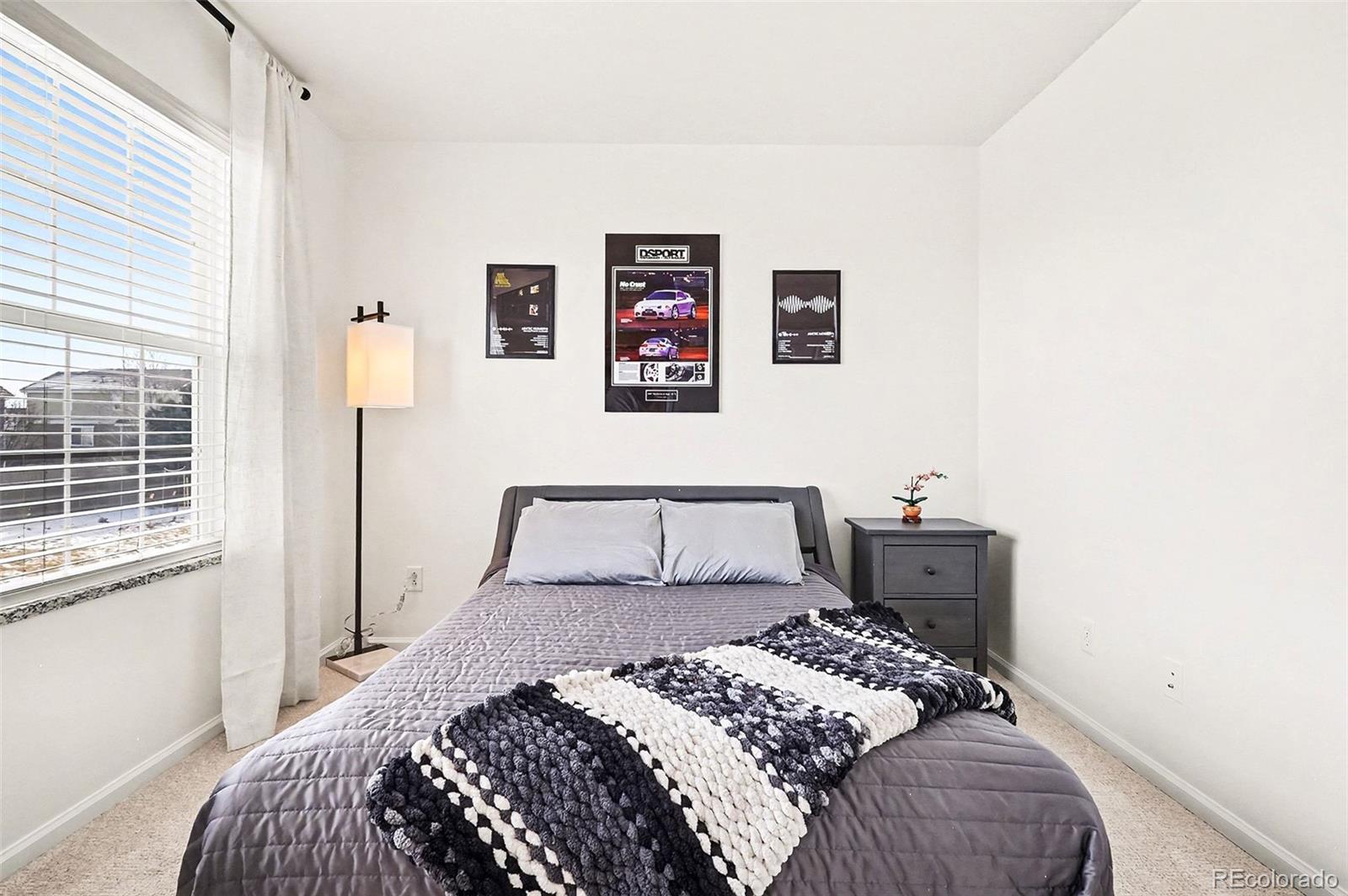 MLS Image #30 for 90  falmouth street,castle rock, Colorado