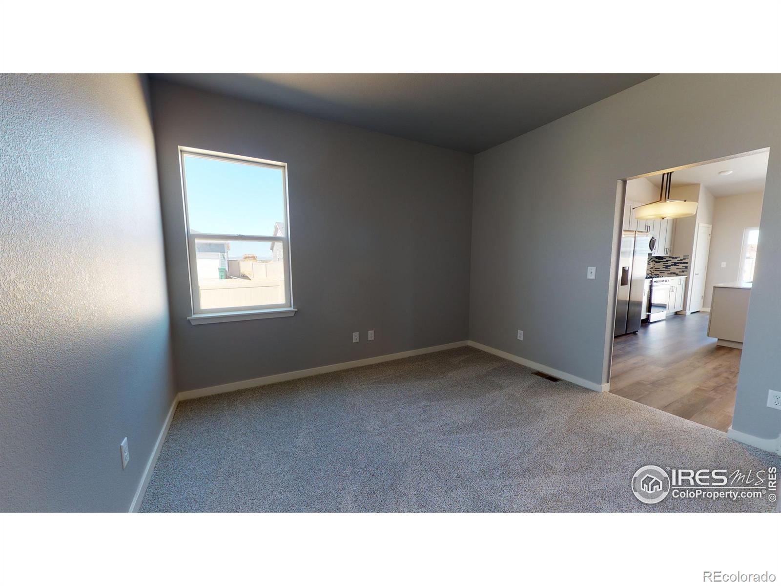 MLS Image #14 for 210  dawn drive,hudson, Colorado