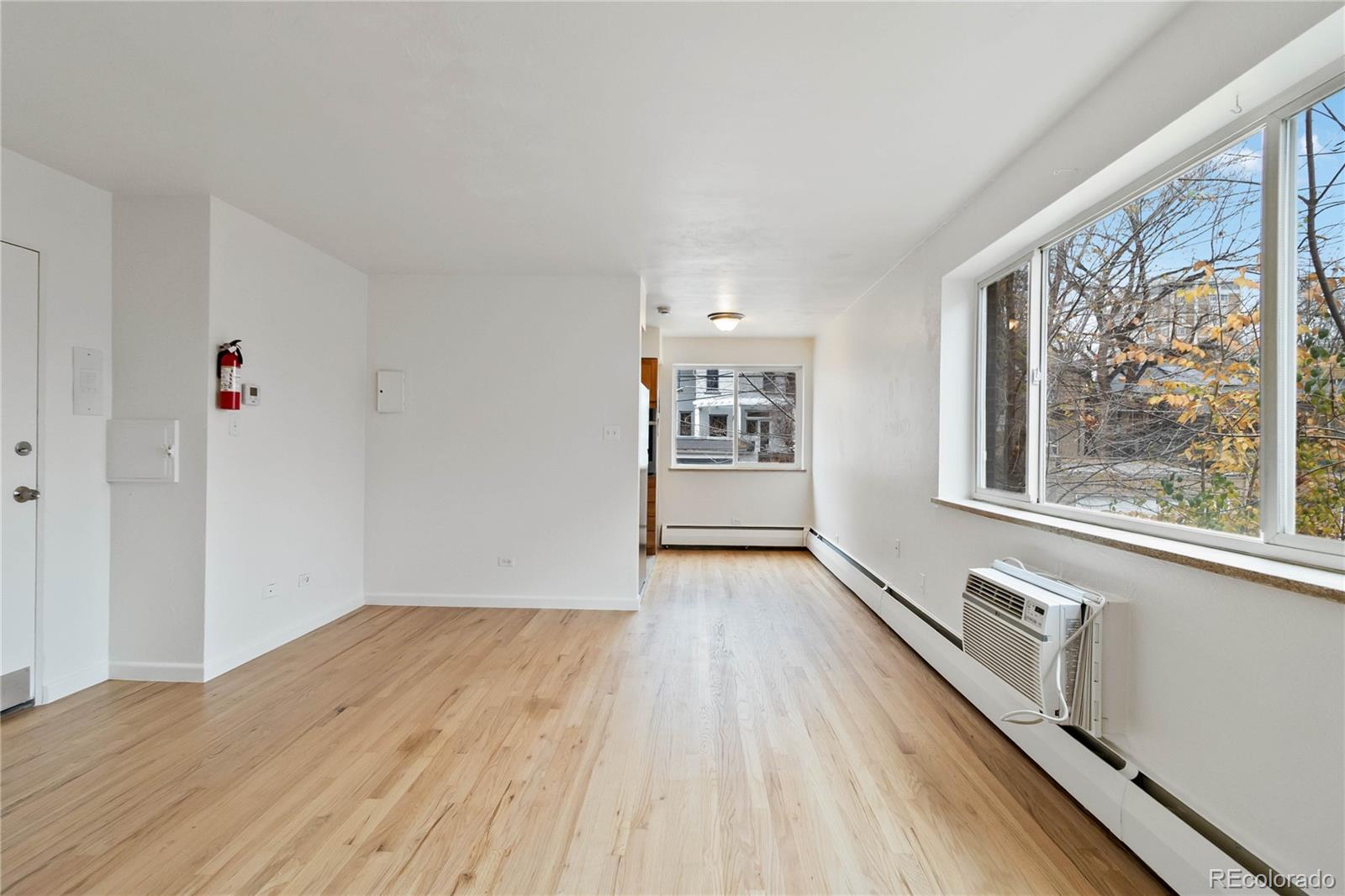MLS Image #5 for 1056  marion street,denver, Colorado