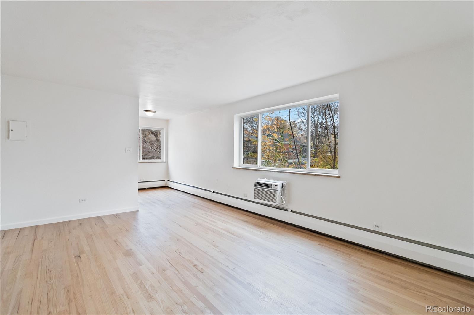 MLS Image #7 for 1056  marion street,denver, Colorado