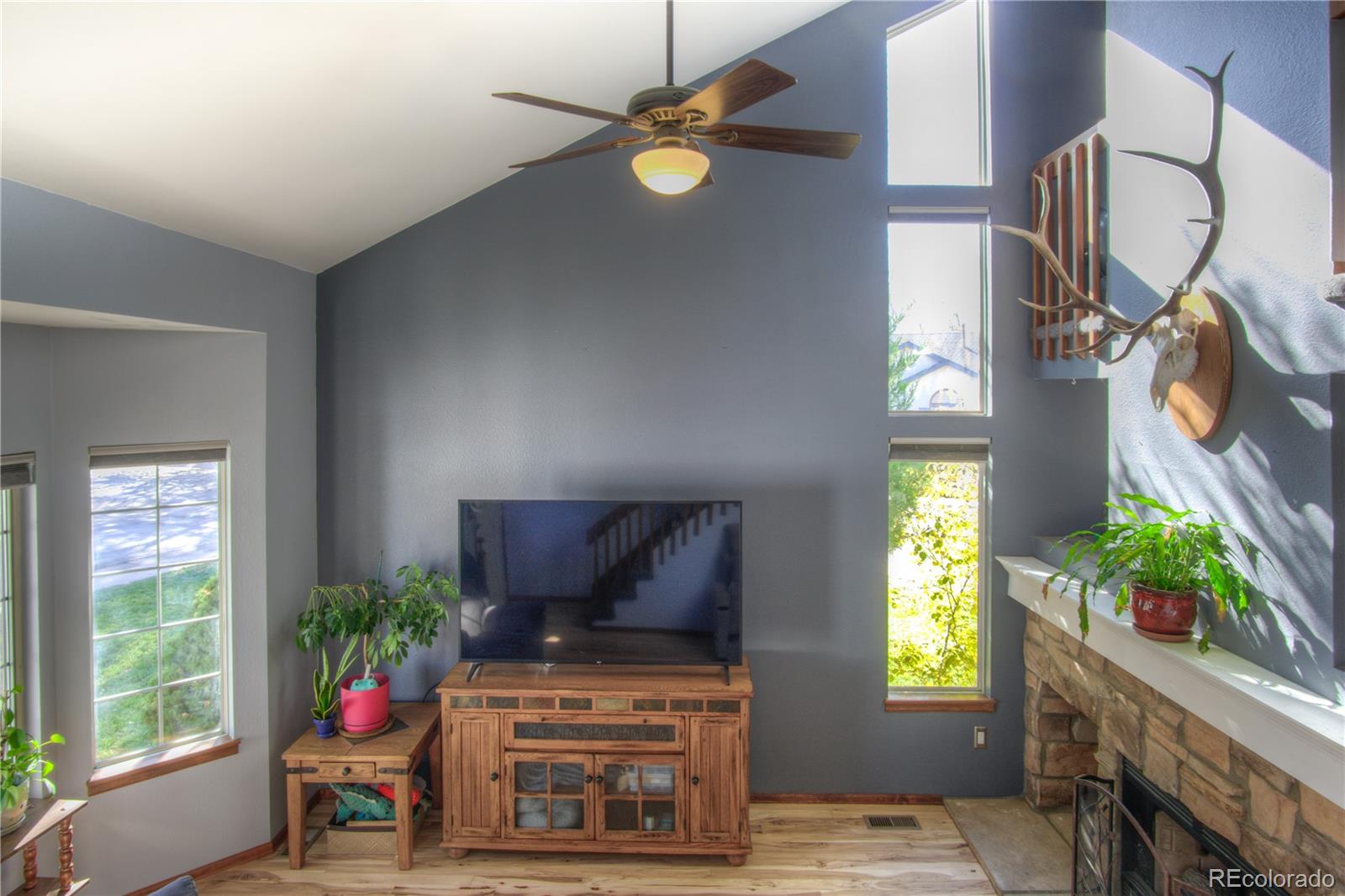 MLS Image #4 for 1647 s newland street,lakewood, Colorado