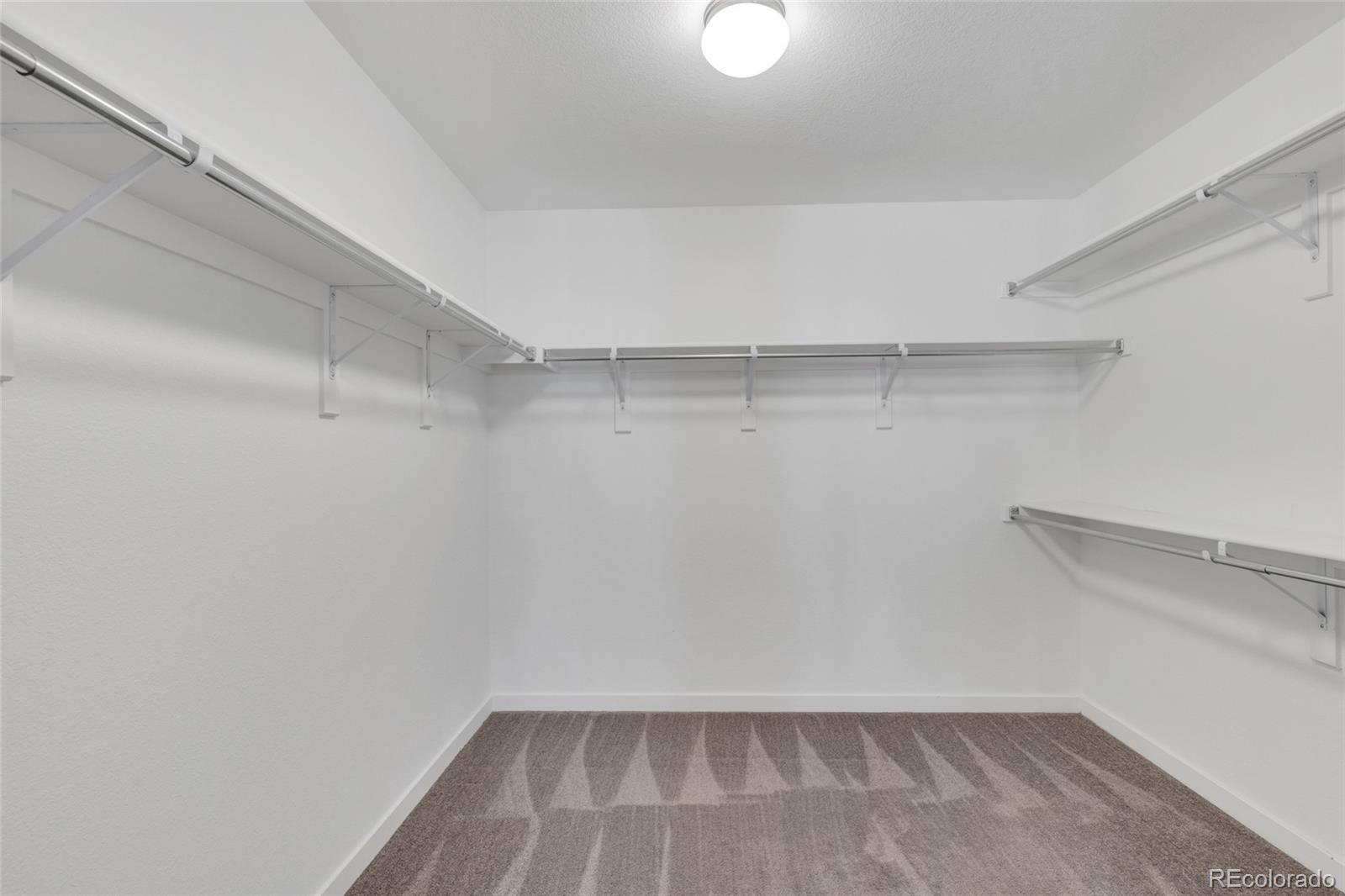 MLS Image #35 for 8392  bijou creek avenue,littleton, Colorado