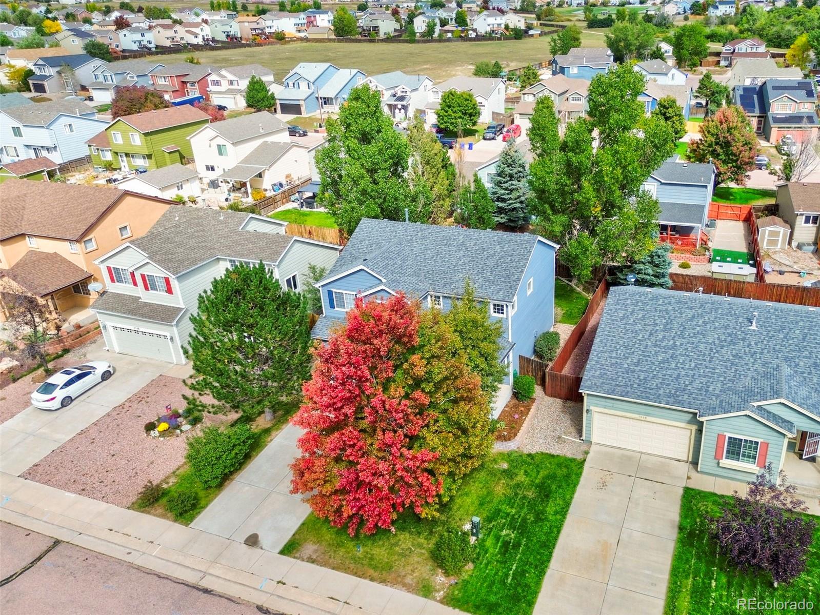 MLS Image #3 for 7524  stephenville road,peyton, Colorado
