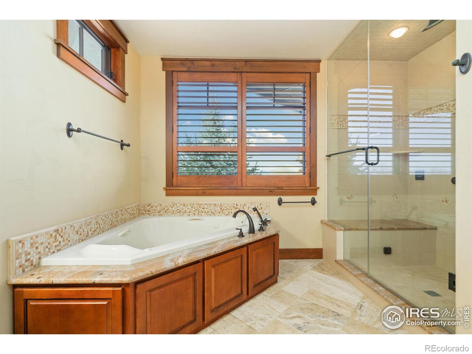 MLS Image #21 for 3791  tayside court,timnath, Colorado
