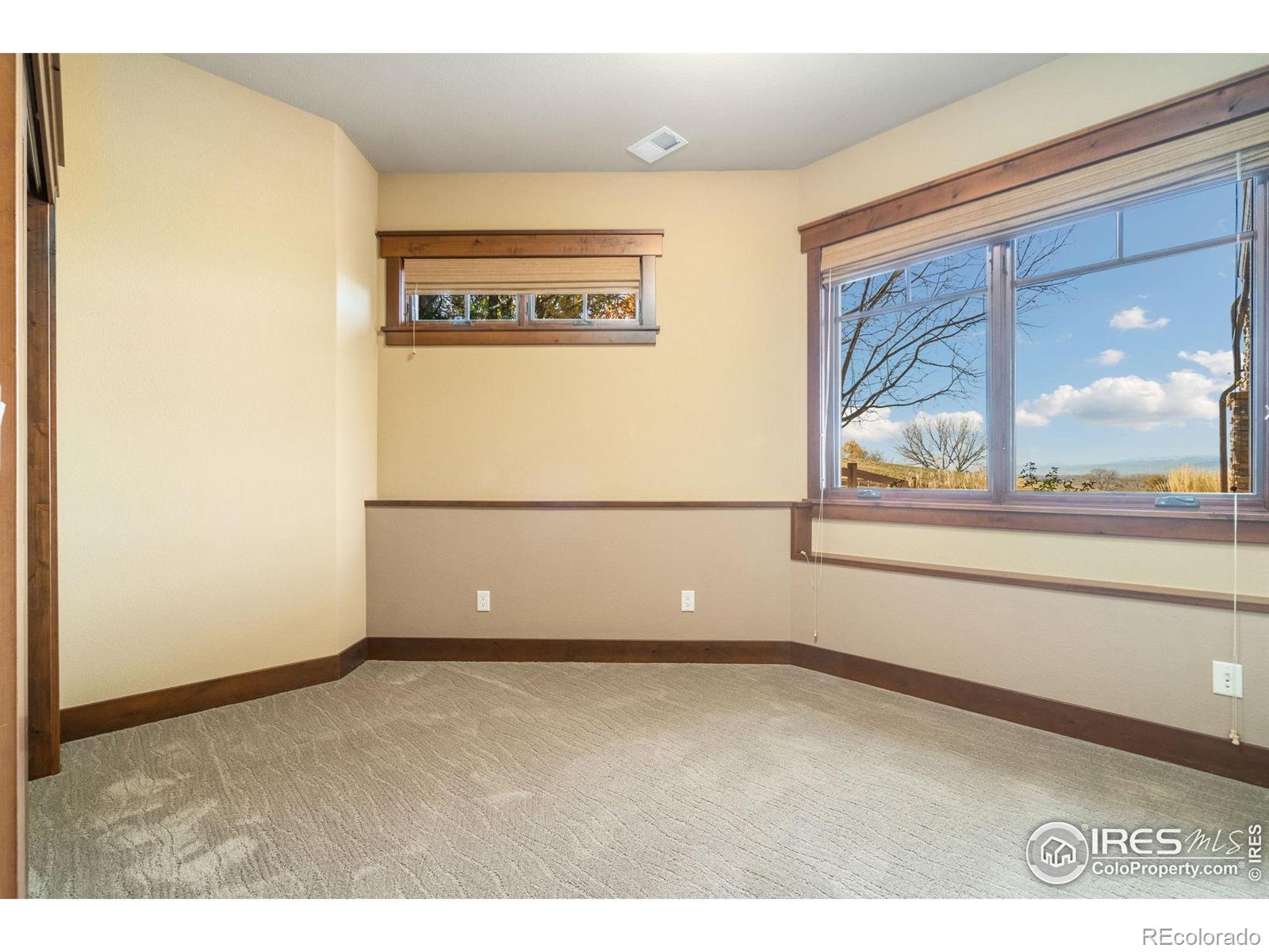 MLS Image #31 for 3791  tayside court,timnath, Colorado