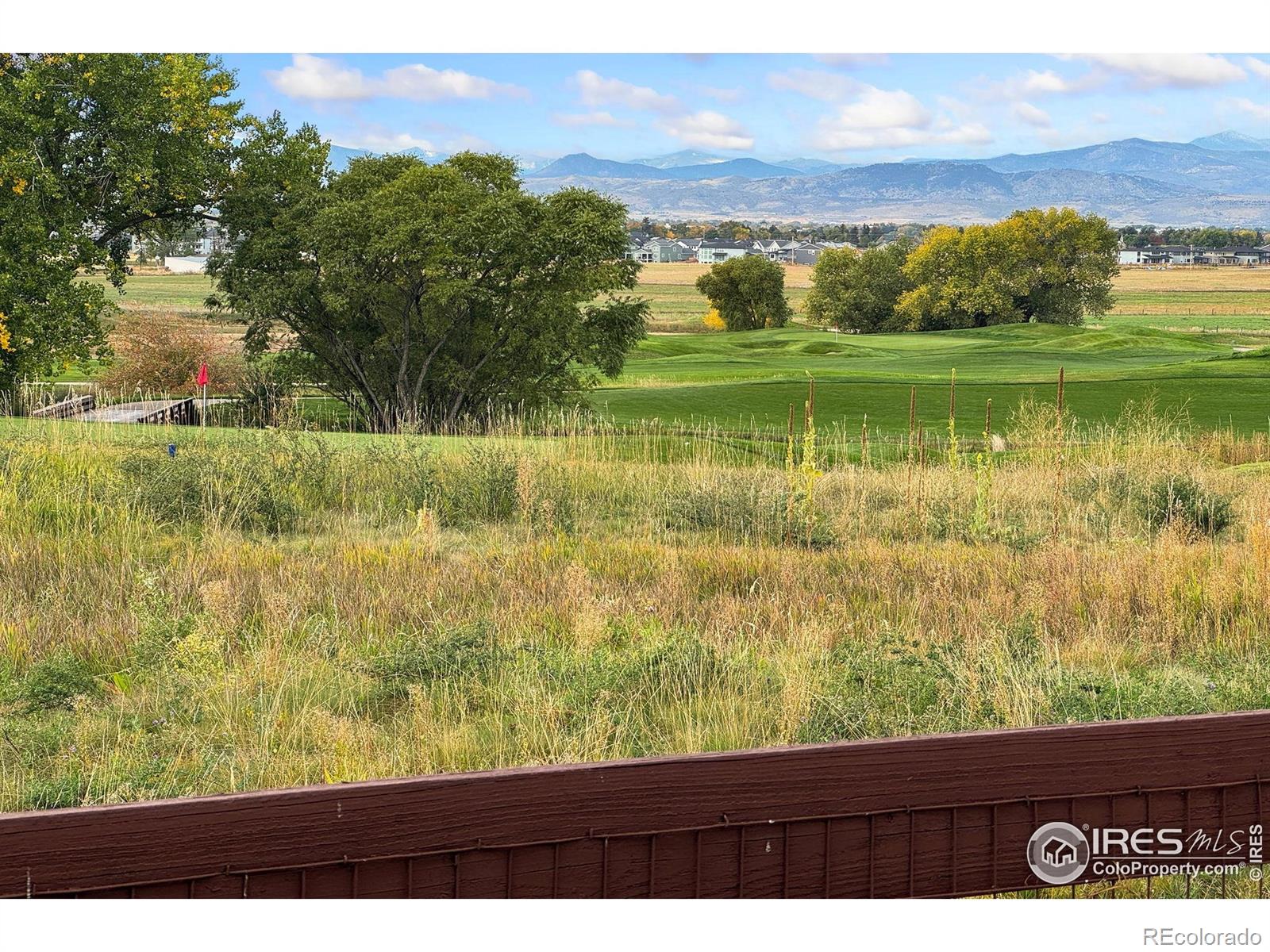 MLS Image #38 for 3791  tayside court,timnath, Colorado