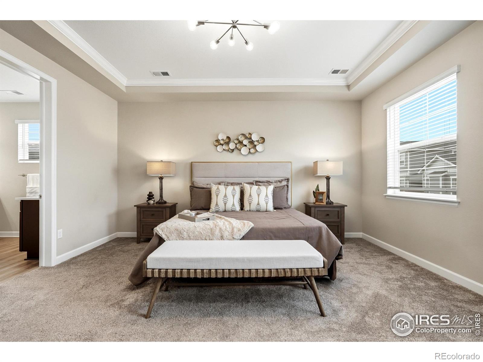 MLS Image #21 for 797  flora view drive,erie, Colorado