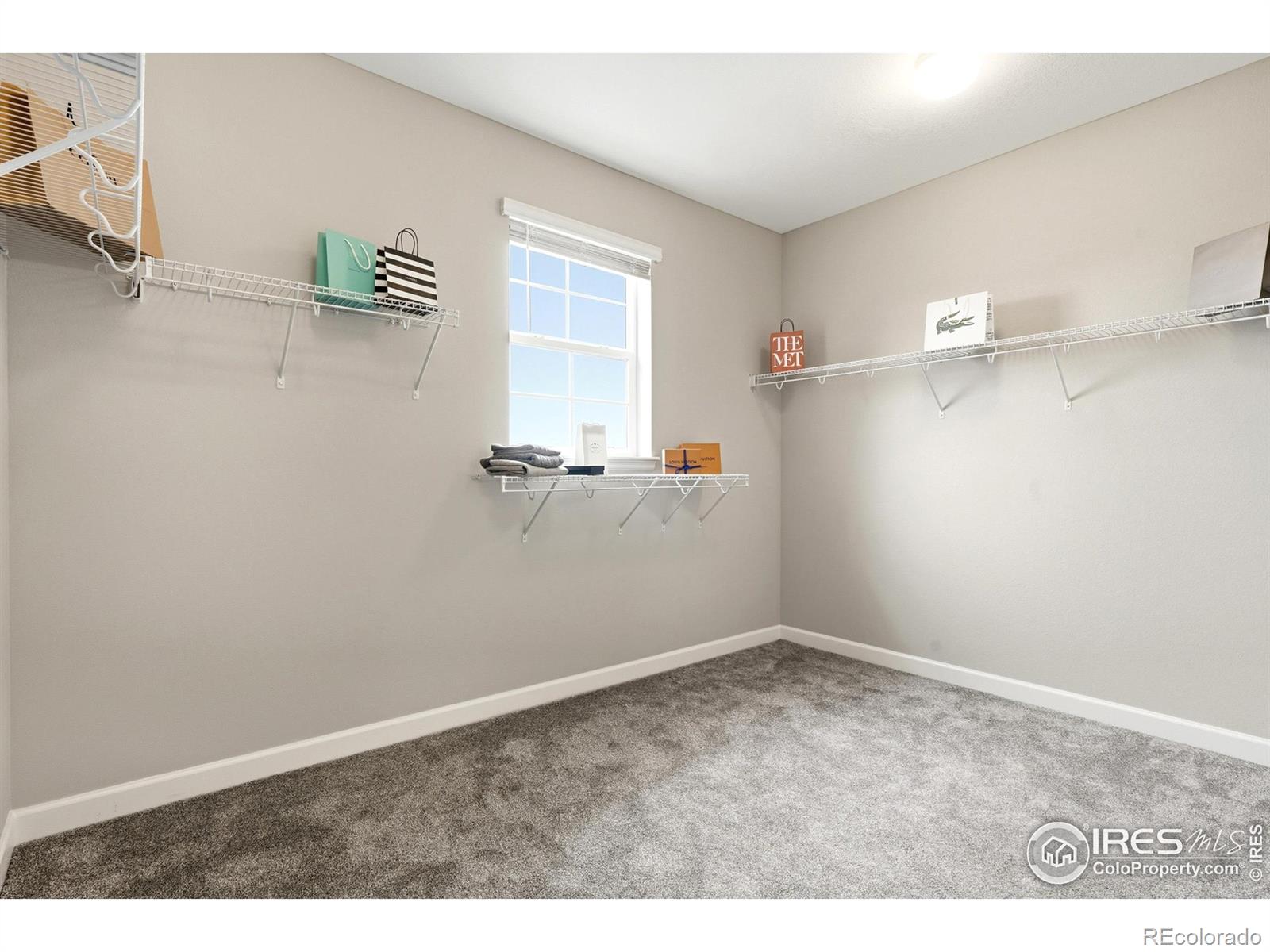 MLS Image #25 for 797  flora view drive,erie, Colorado