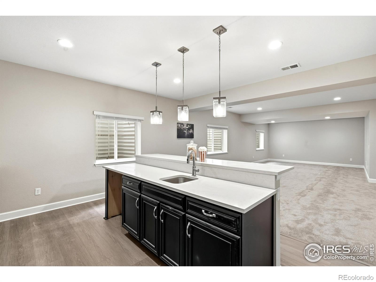 MLS Image #37 for 797  flora view drive,erie, Colorado