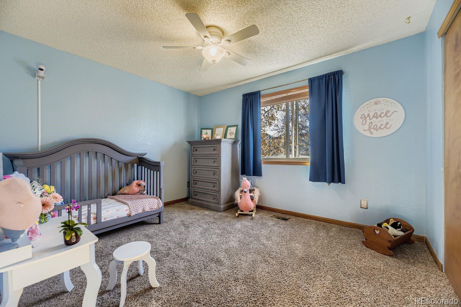MLS Image #24 for 17052  motsenbocker way,parker, Colorado