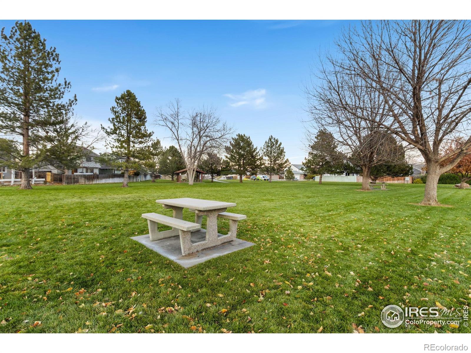 MLS Image #20 for 2147  chelsea drive,loveland, Colorado