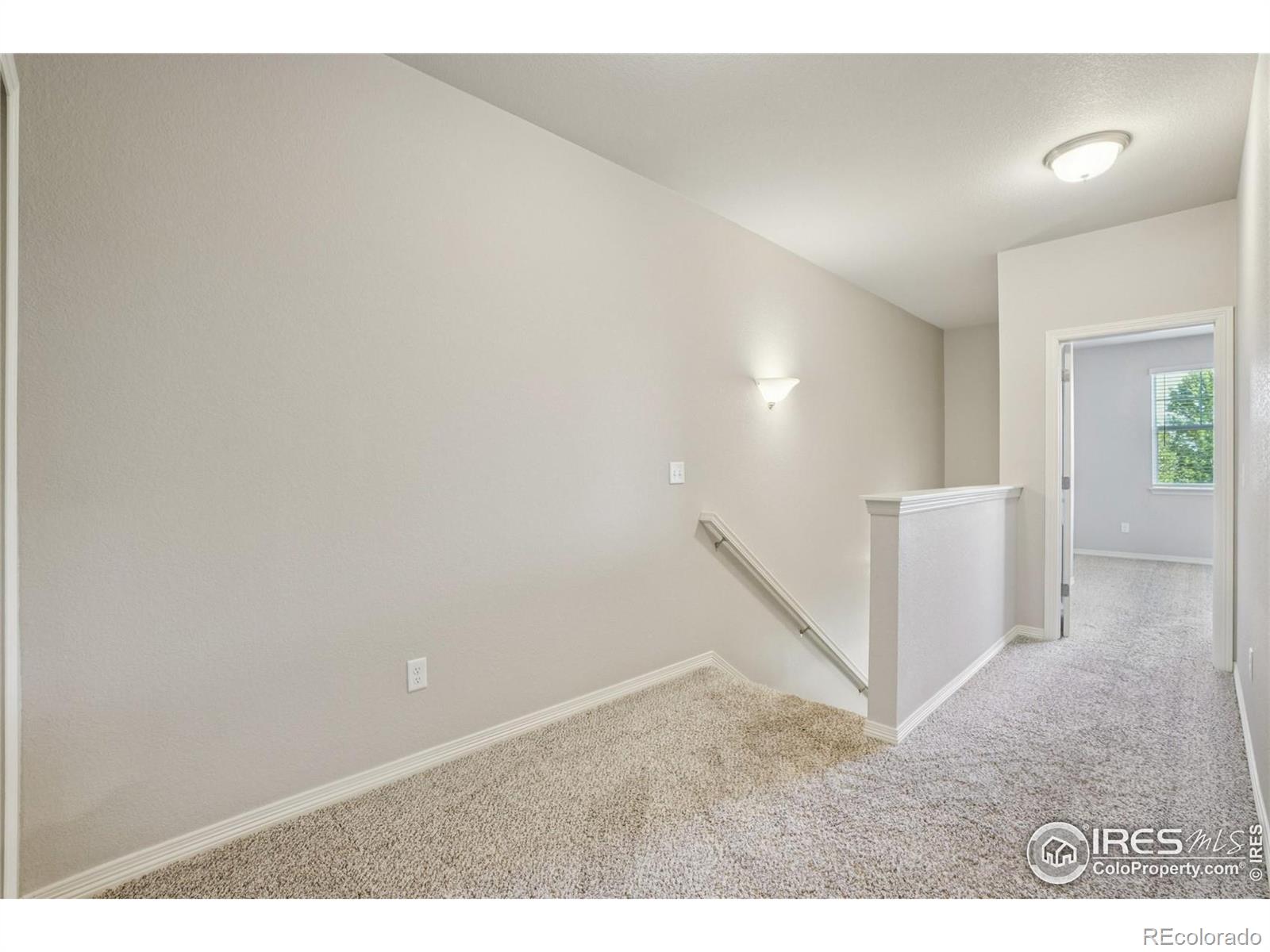 MLS Image #13 for 1694  grand avenue,windsor, Colorado