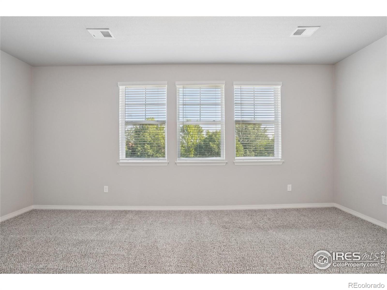 MLS Image #15 for 1694  grand avenue,windsor, Colorado