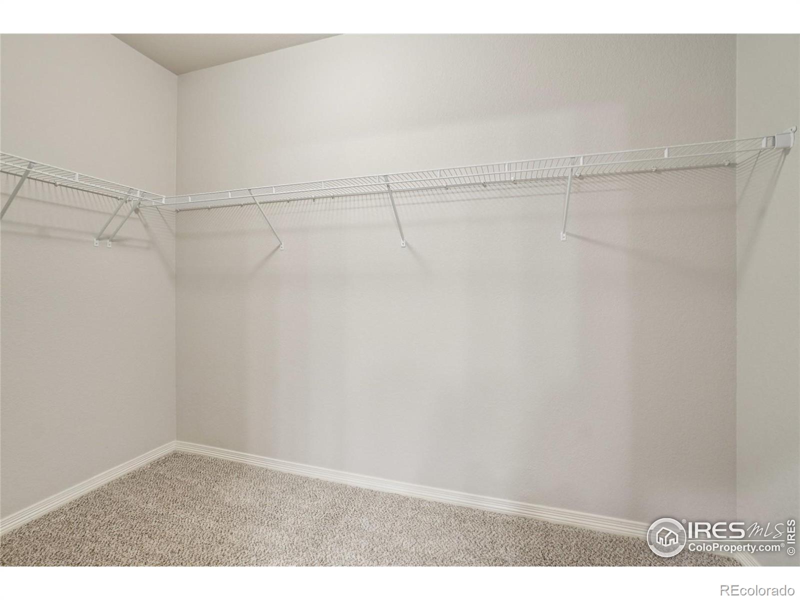 MLS Image #19 for 1694  grand avenue,windsor, Colorado