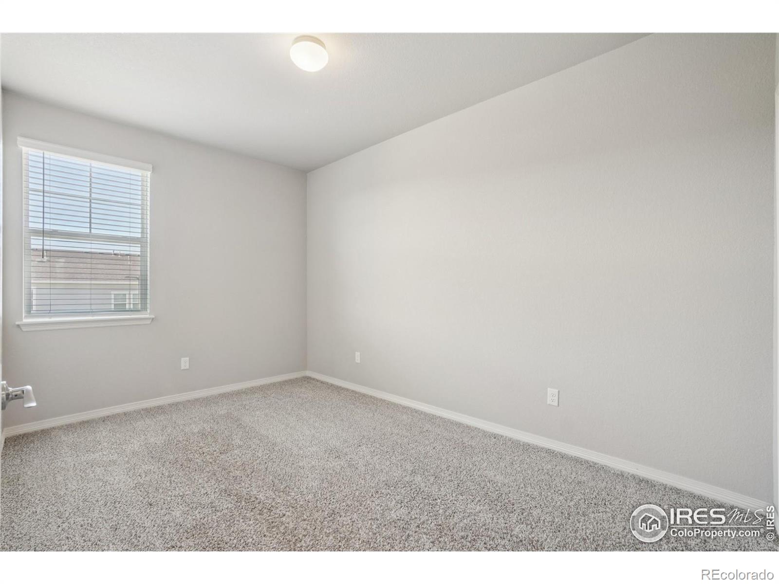 MLS Image #23 for 1694  grand avenue,windsor, Colorado