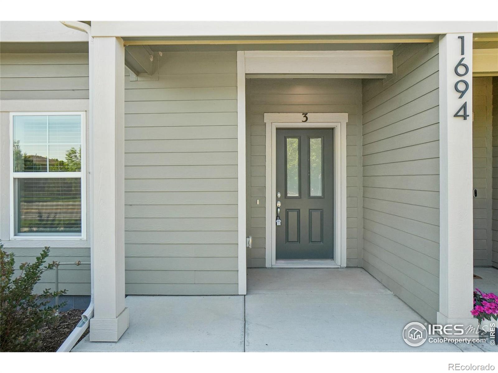 MLS Image #29 for 1694  grand avenue,windsor, Colorado
