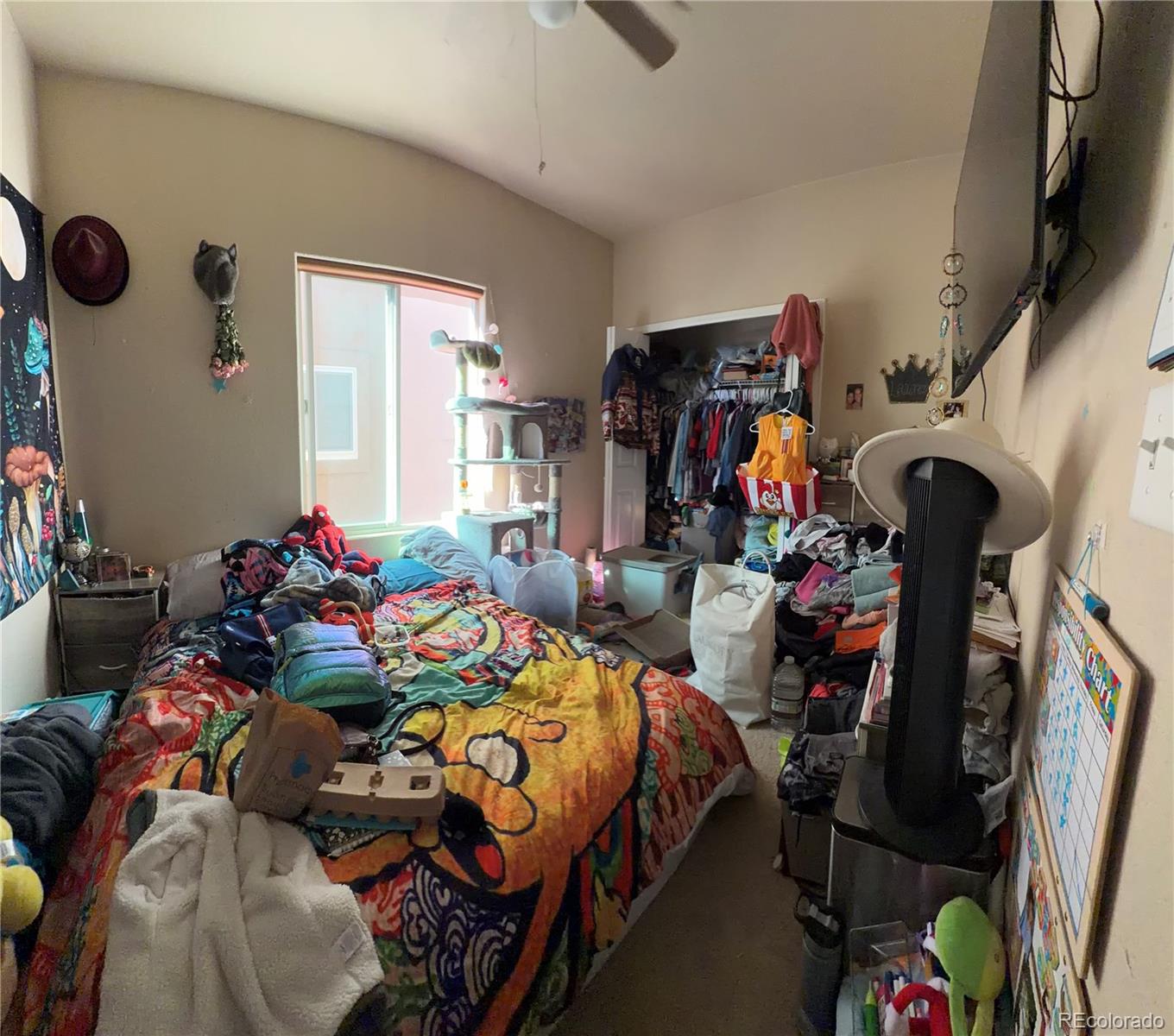 MLS Image #18 for 11649  shaolin grove,peyton, Colorado