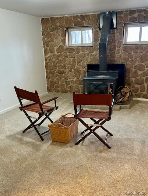 MLS Image #30 for 1009  acadia avenue,lafayette, Colorado