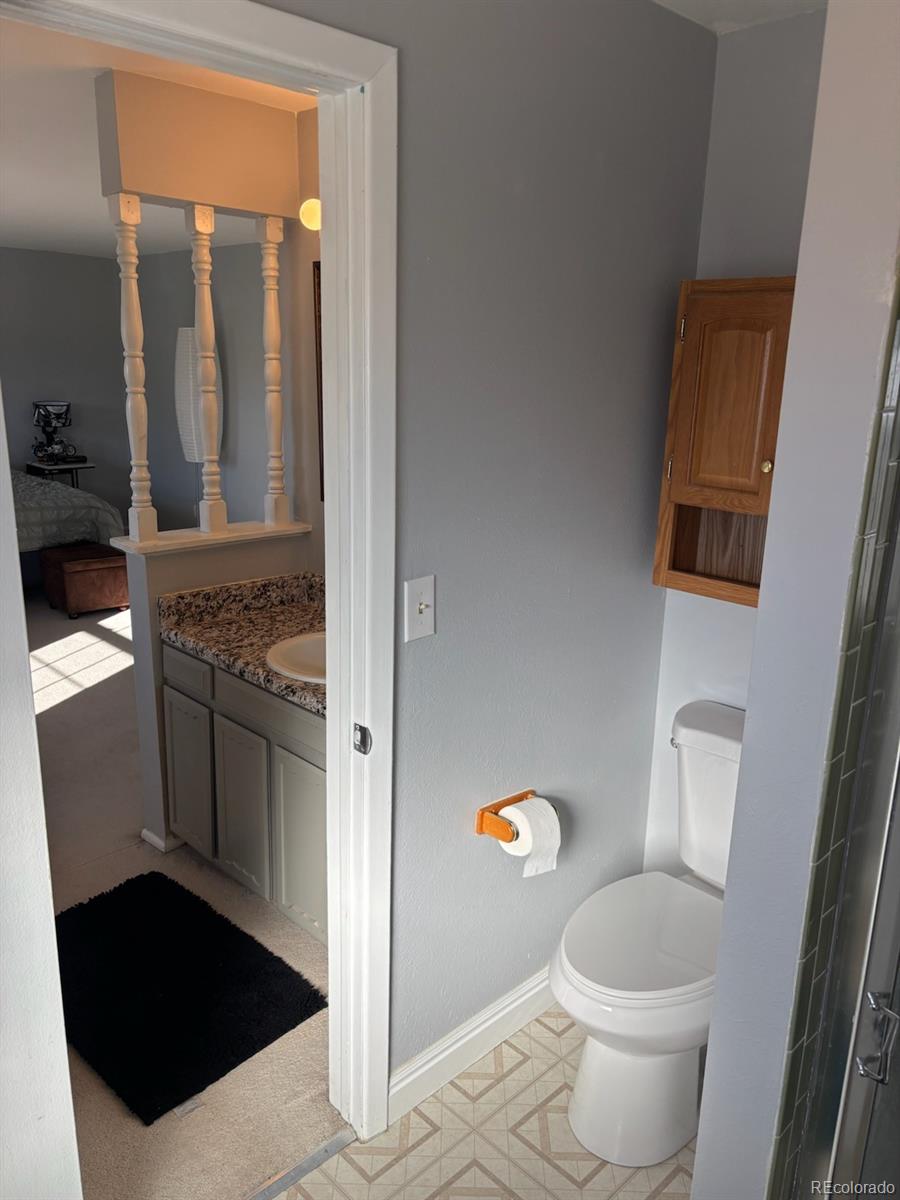 MLS Image #23 for 4319 e peakview circle,centennial, Colorado