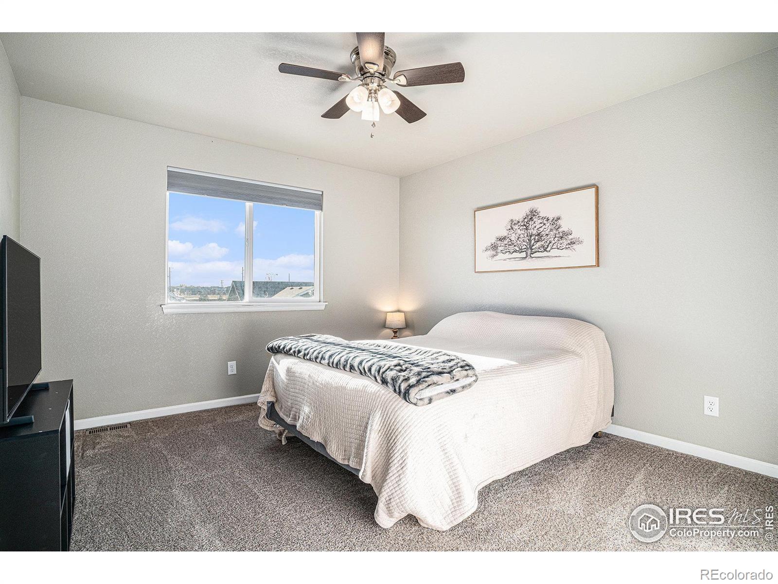 MLS Image #21 for 1185  sunrise circle,milliken, Colorado