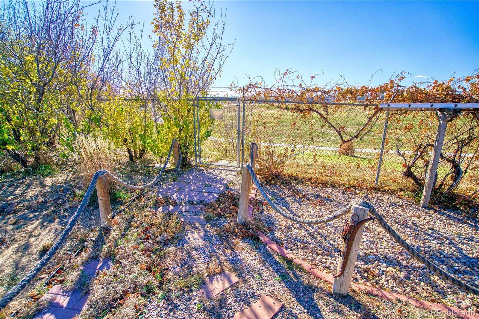 MLS Image #38 for 1440  kokai circle,denver, Colorado