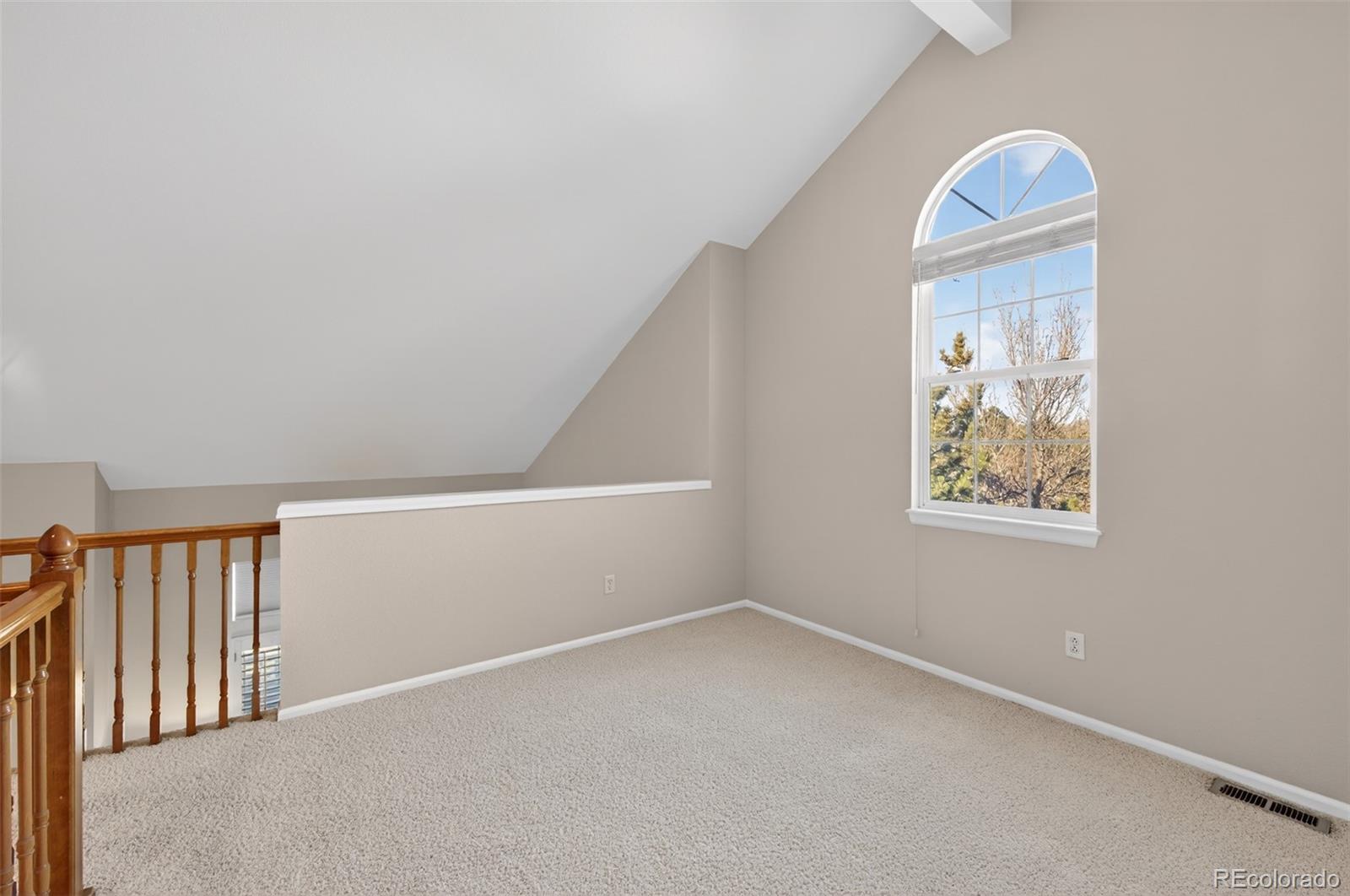 MLS Image #31 for 9534  silver spur lane,highlands ranch, Colorado