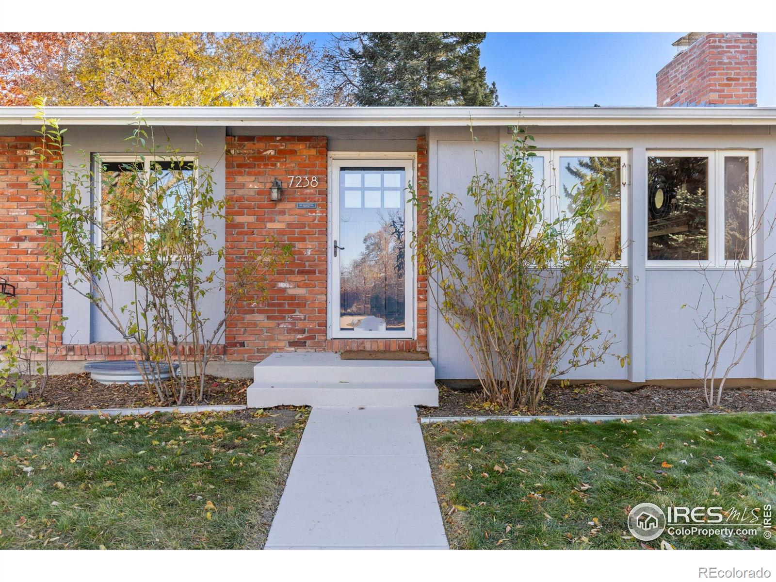 MLS Image #5 for 7238  mount sherman road,longmont, Colorado
