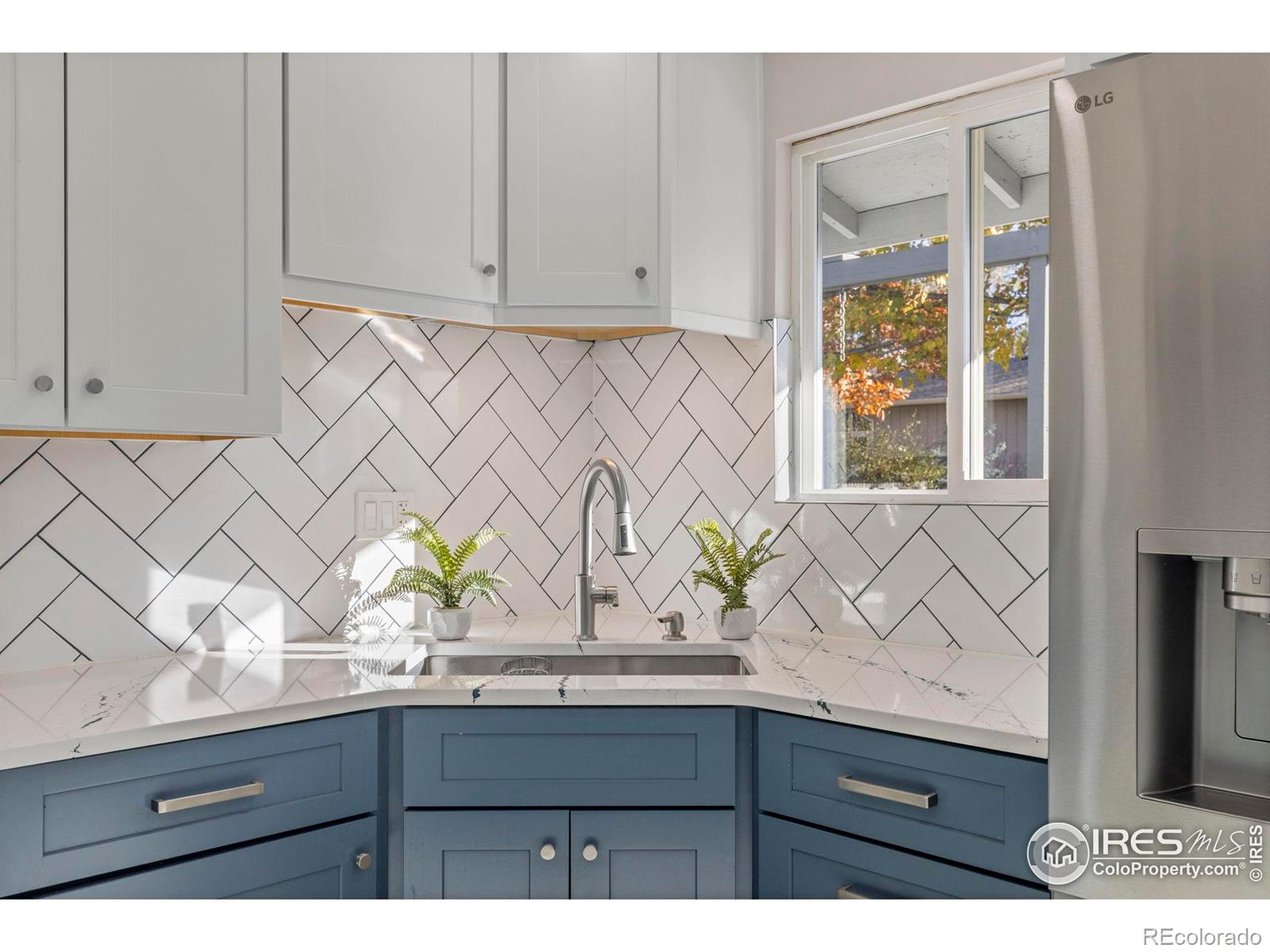 MLS Image #9 for 7238  mount sherman road,longmont, Colorado