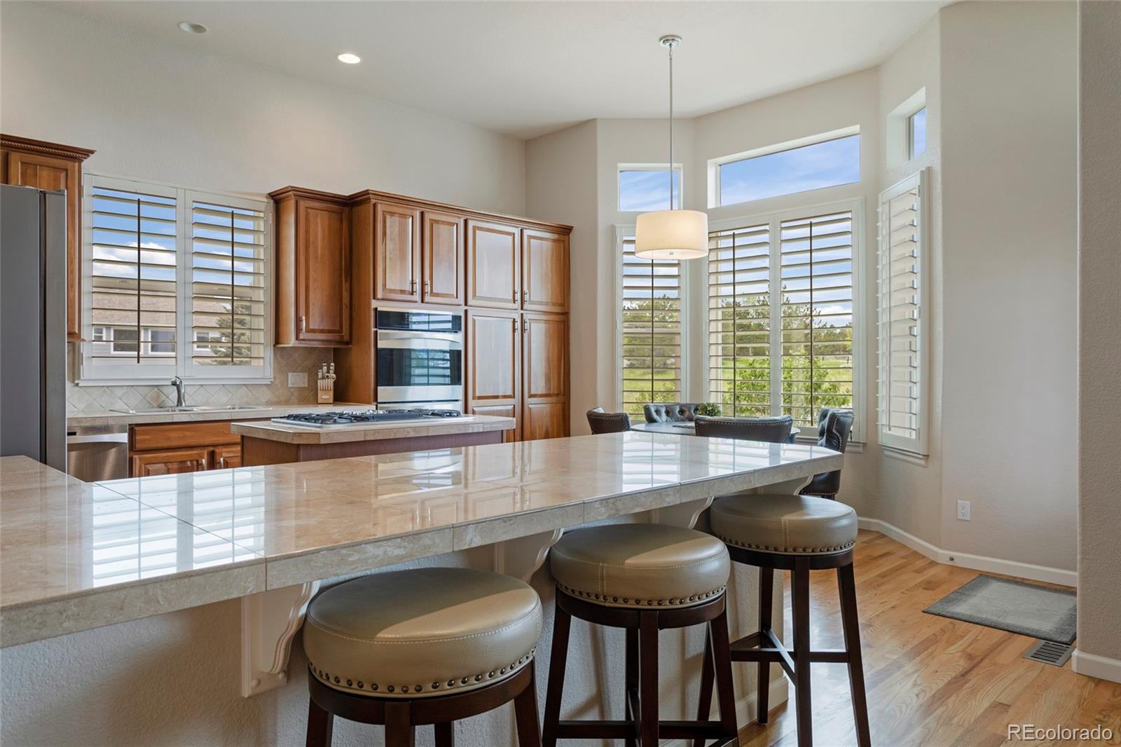 MLS Image #21 for 1095  bramblewood drive,castle pines, Colorado