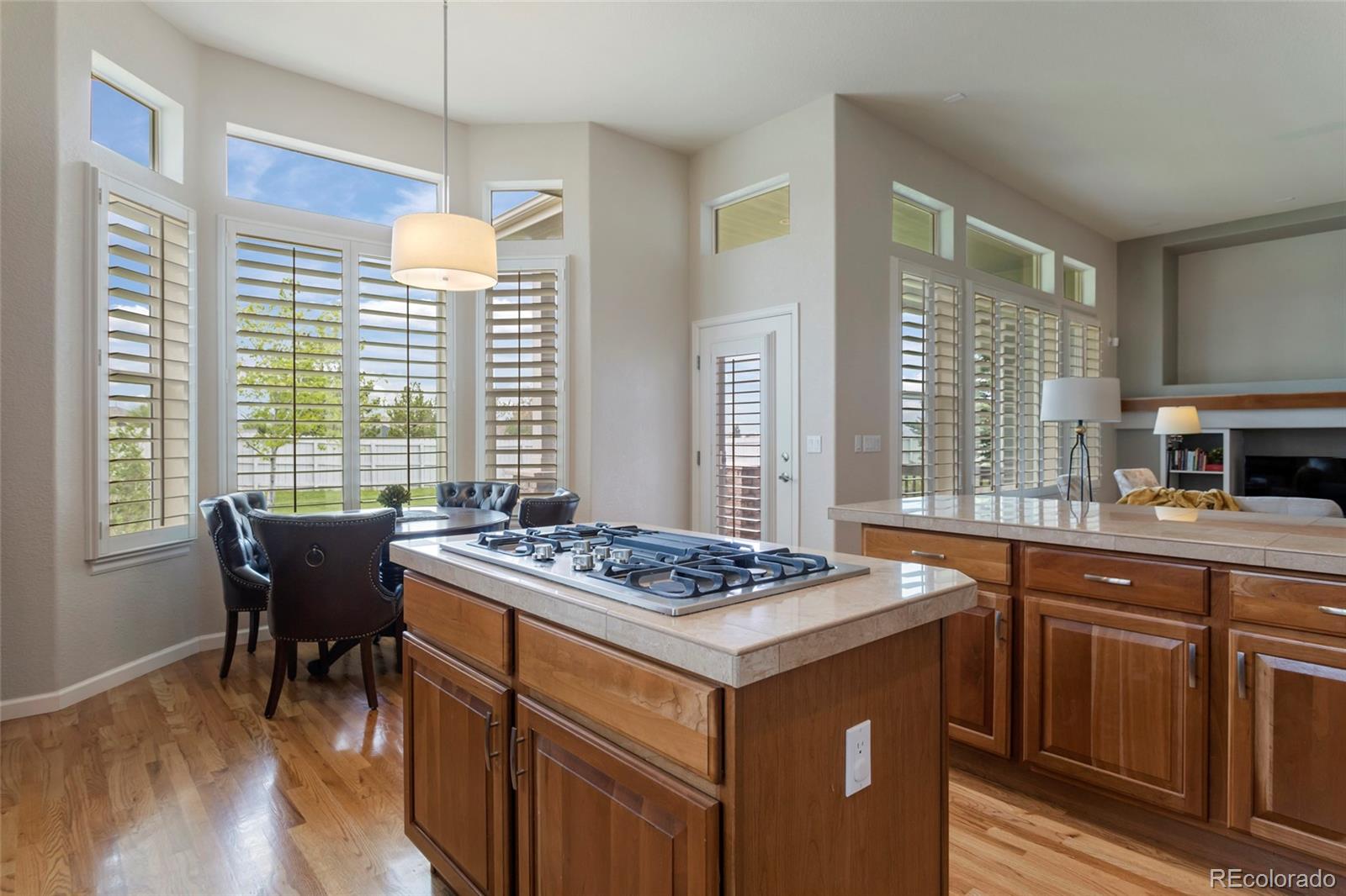 MLS Image #22 for 1095  bramblewood drive,castle pines, Colorado