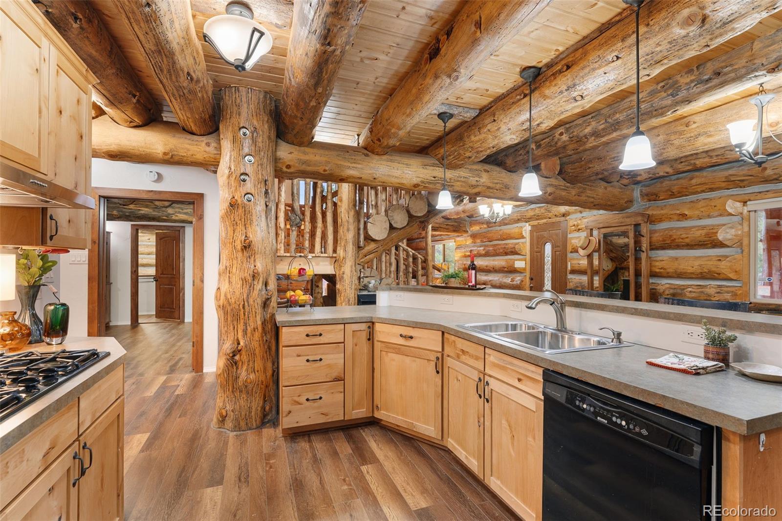 MLS Image #14 for 102  carmargo road,pine, Colorado