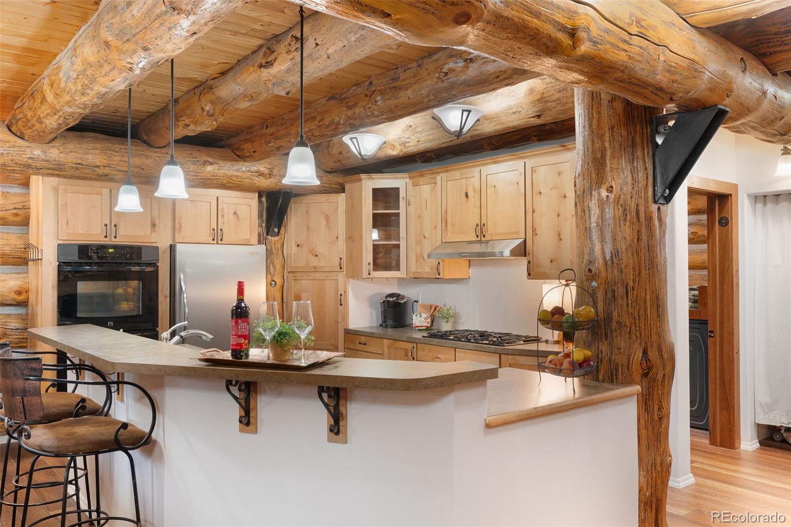 MLS Image #15 for 102  carmargo road,pine, Colorado