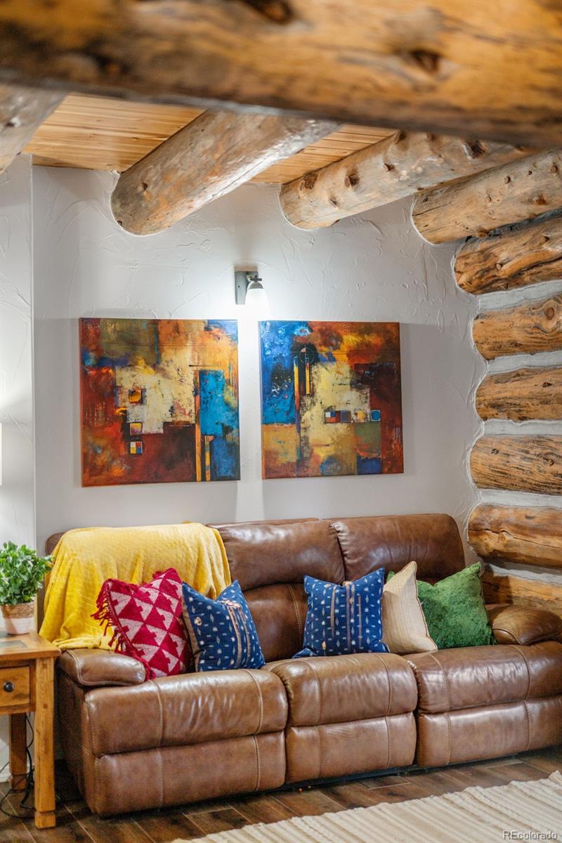 MLS Image #19 for 102  carmargo road,pine, Colorado